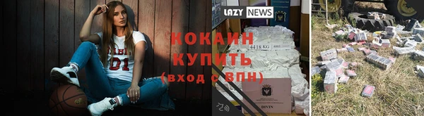 индика Балахна