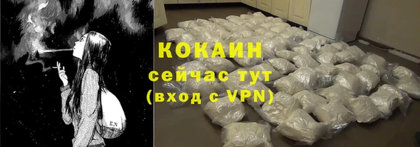 индика Балахна