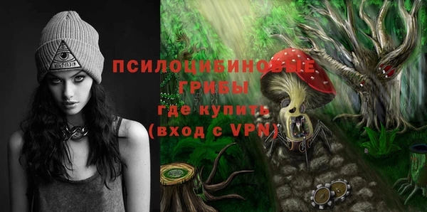индика Балахна