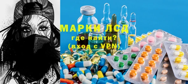 индика Балахна
