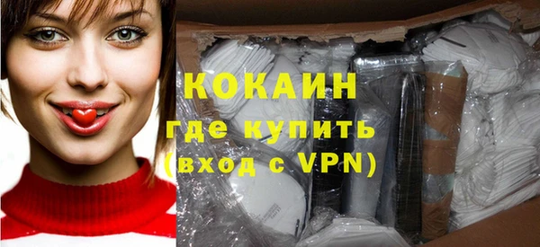 индика Балахна