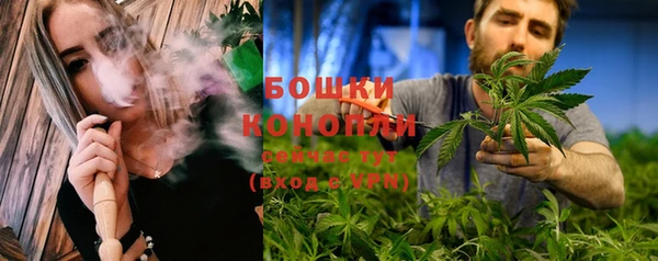 индика Балахна