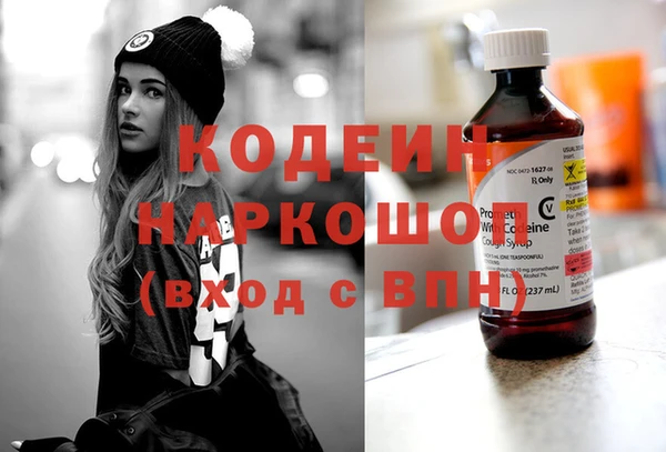 индика Балахна