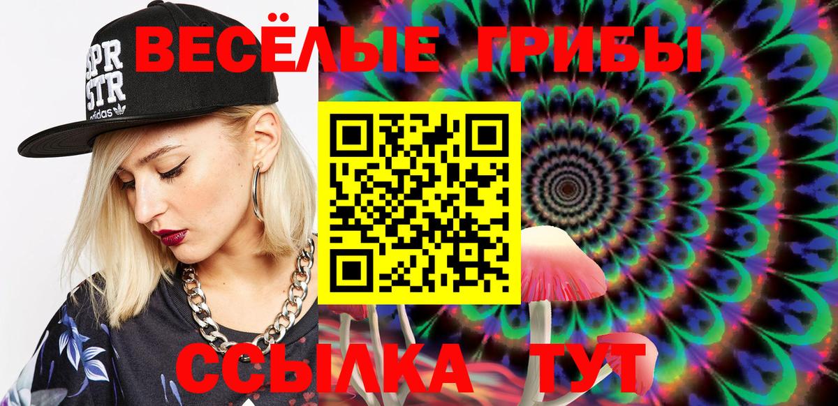 Галлюциногенные грибы GOLDEN TEACHER Бор