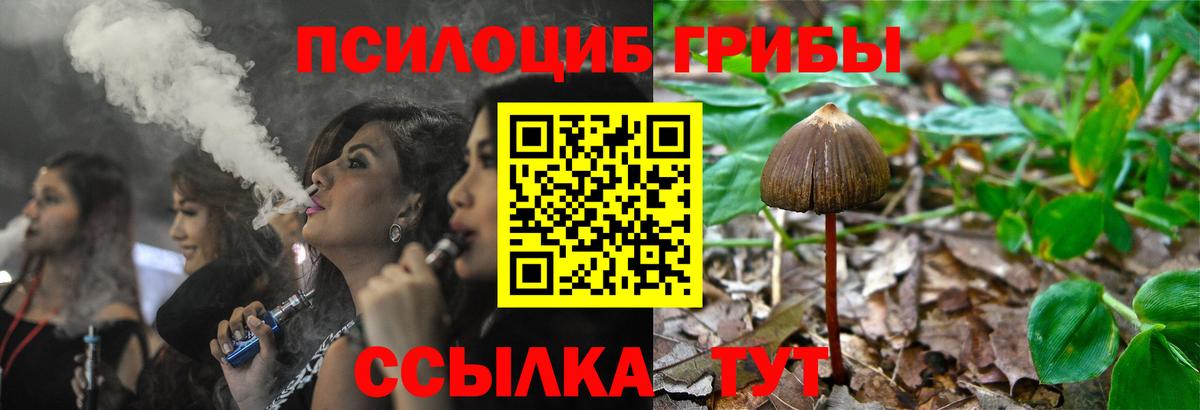 Бор  где можно купить   Вход с VPN  Галлюциногенные грибы мицелий  Псилоцибиновые грибы GOLDEN TEACHER 