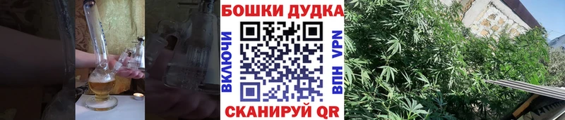 площадка как зайти  Бор  Марихуана конопля 